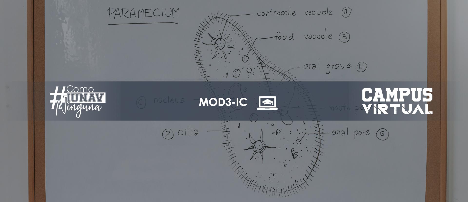 Módulo 3: Investigación Cuantitativa
