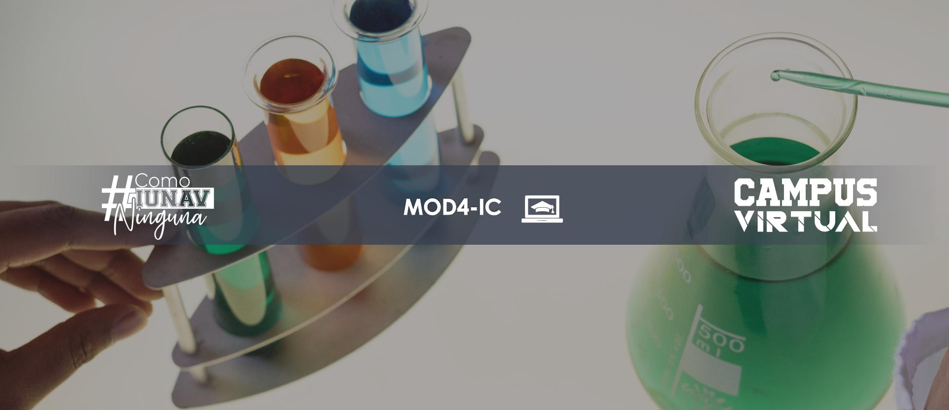 Módulo 4: Investigación Cualitativa