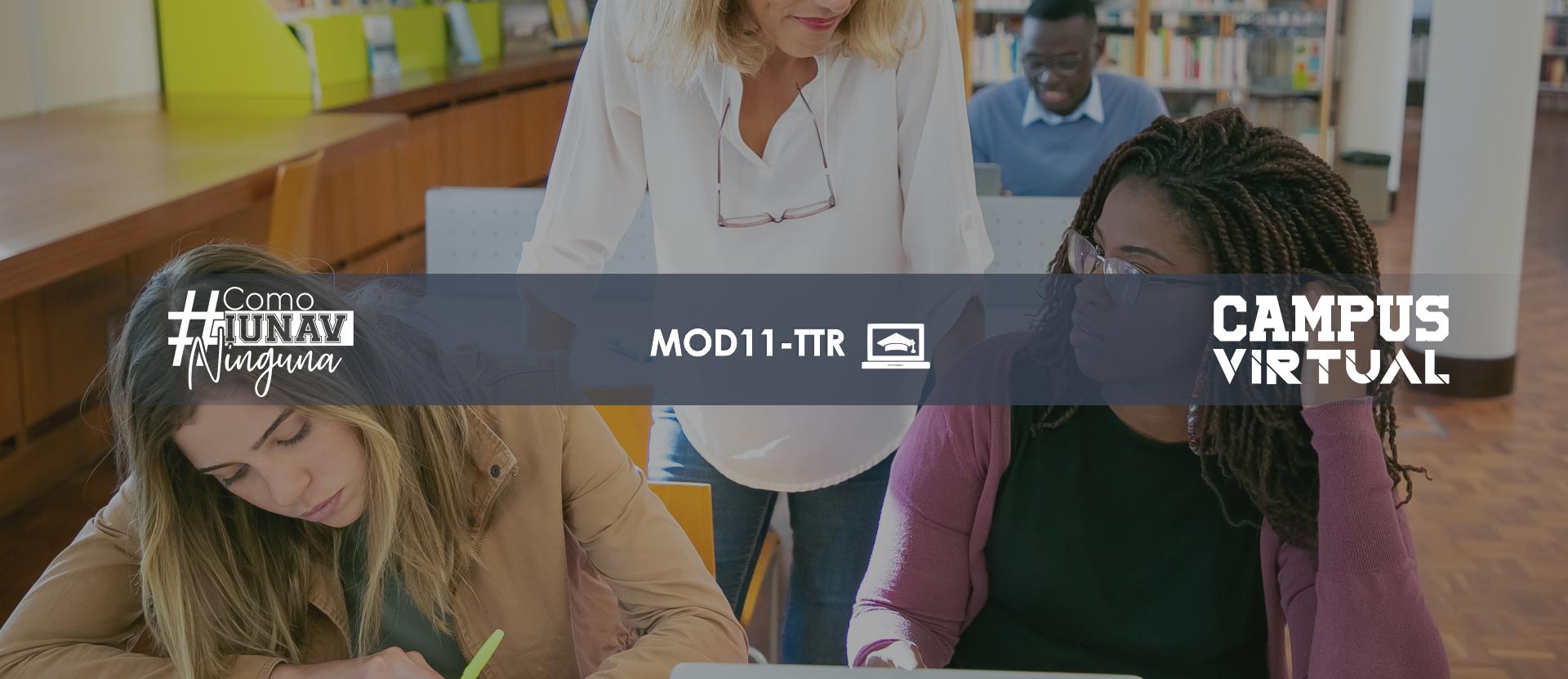 Módulo 11: Tutoría