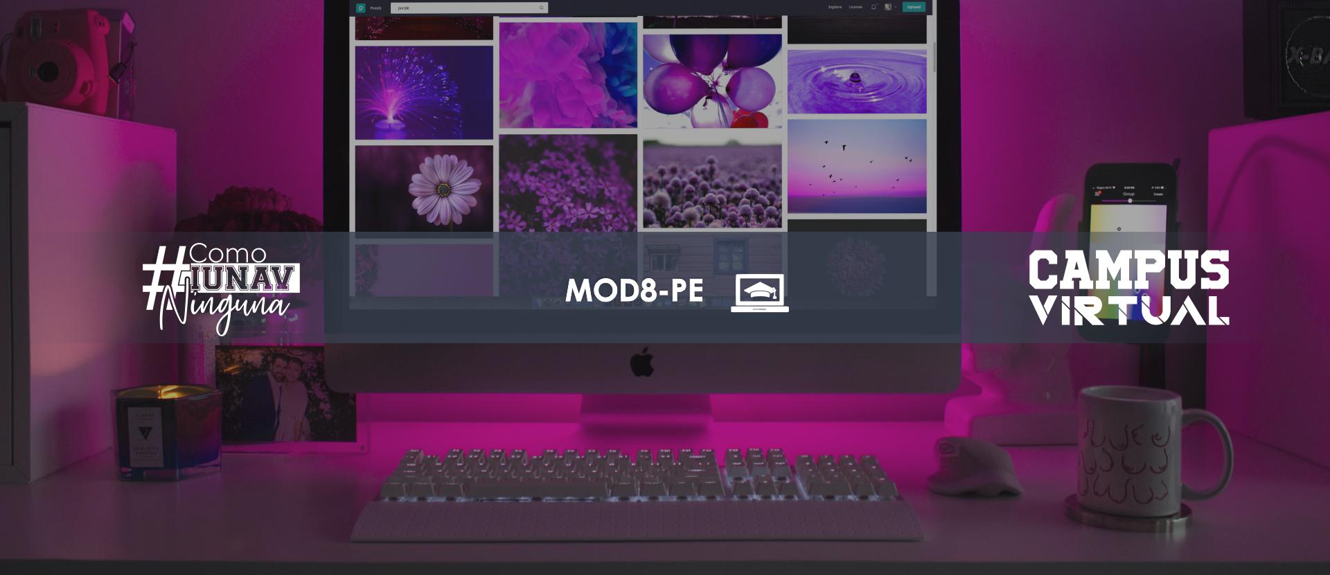  Módulo 8: Presencia e Imagen