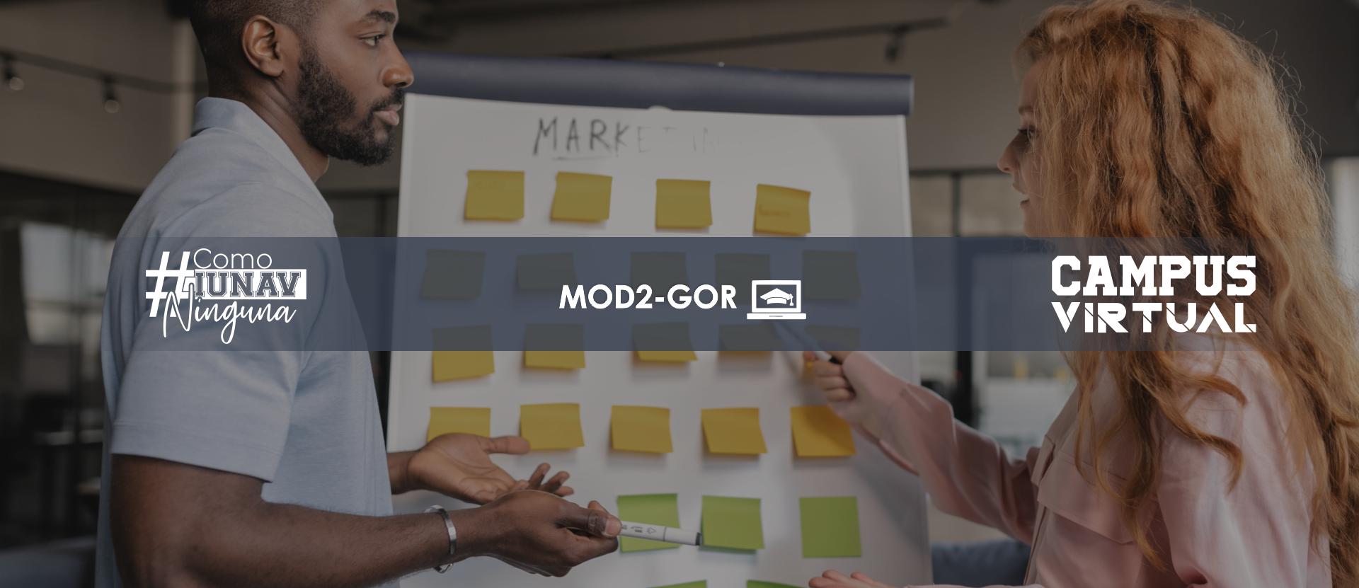 Módulo 2: Gestión Organizacional