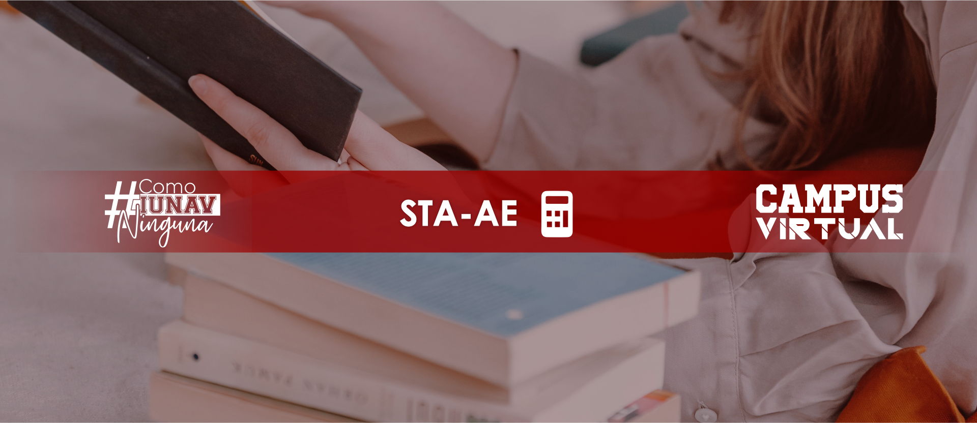 Seminario de Trabajo de Aplicación AE